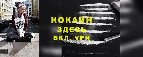 индика Белоозёрский