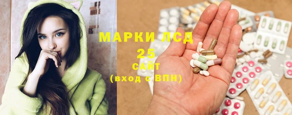 индика Белоозёрский