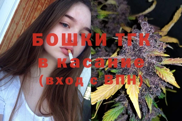 индика Белоозёрский