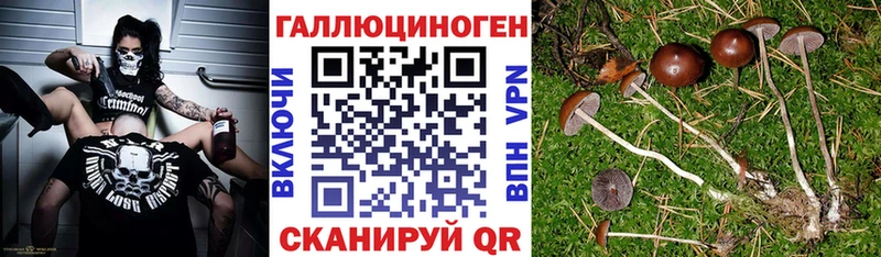 Галлюциногенные грибы GOLDEN TEACHER Емва
